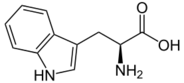 Tryptophane