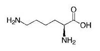 L-lysine