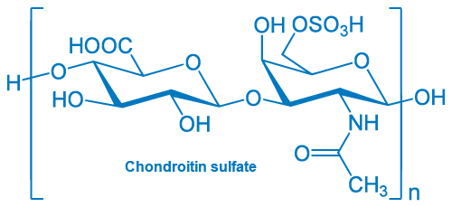 Chondroitine