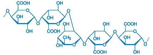 Pectin / mucilage